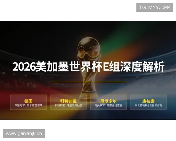 世界杯E组冷门球队深度解读